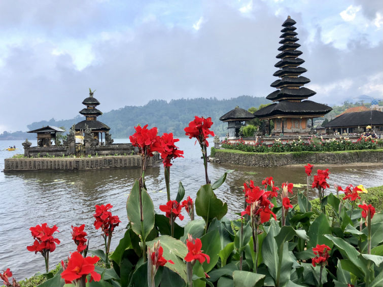 Bali Sehenswürdigkeiten, Wassertempel mit roten Blumen im Vordergrund