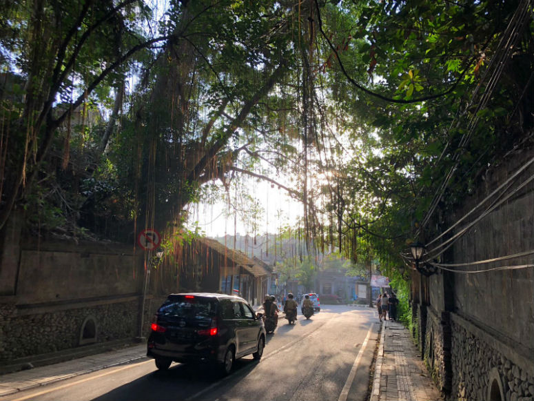 Autos und Roller auf Straße in Ubud Bali