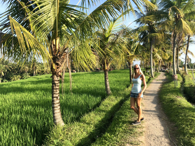 Weg durch Reisfeld in Ubud Bali