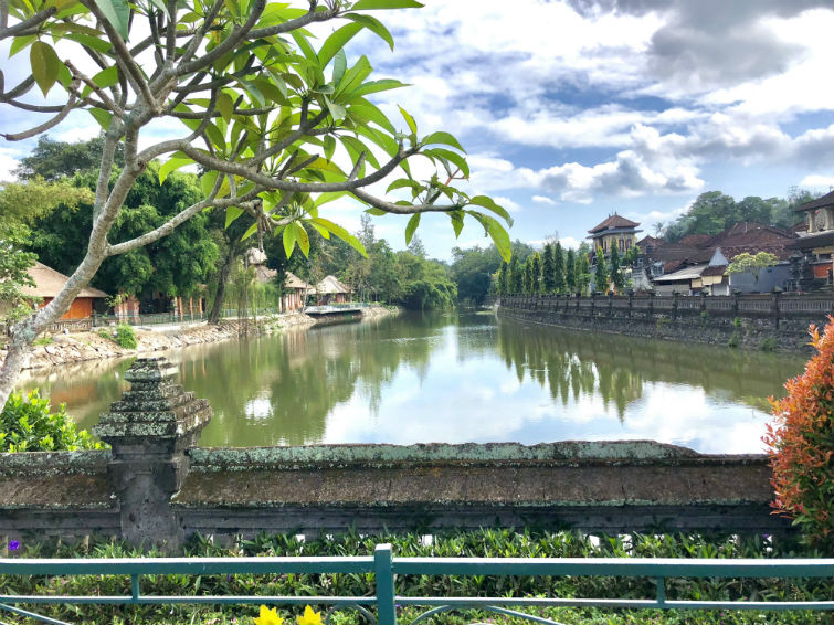 Fluss mit hereinragendem Baum vor Tempelanage Bali