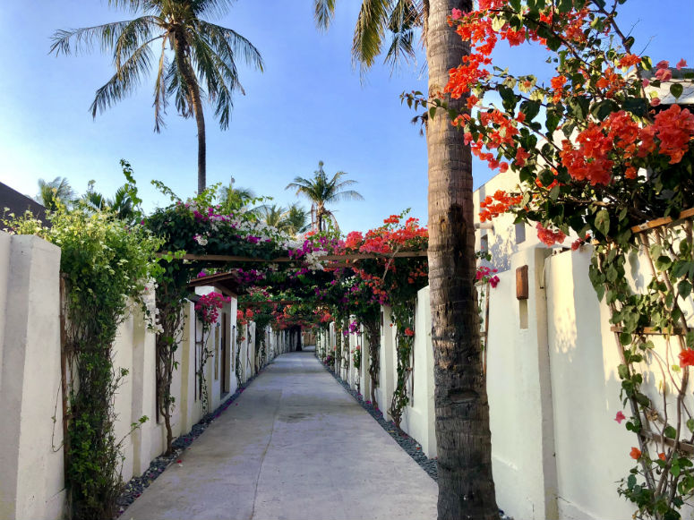 Kleine Straße mit bunten Blumen