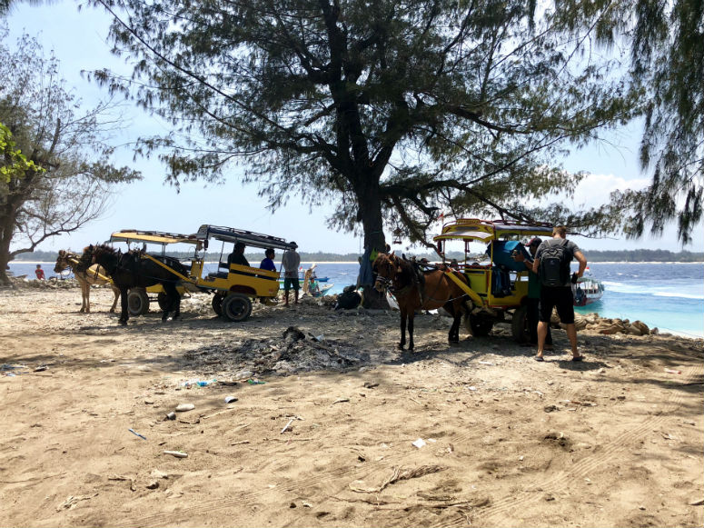 Pferdekutschen auf Gili Trawangan