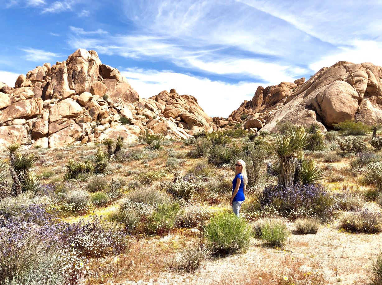 Frau steht auf Indian Cove Trail Joshua Tree Nationalpark