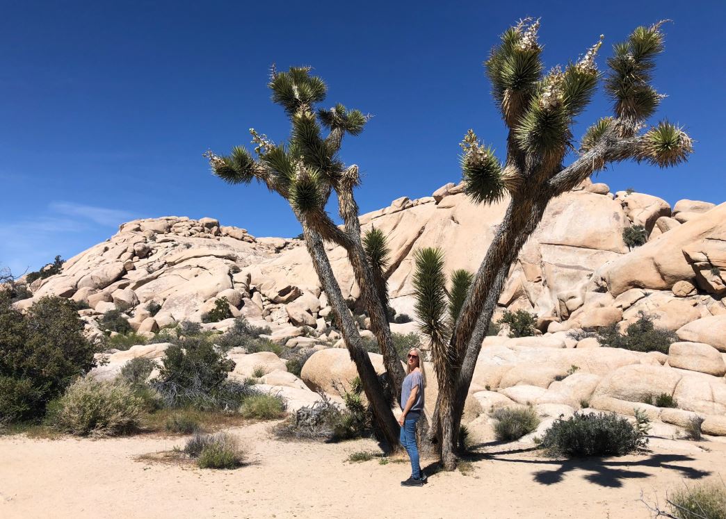 Nationalparks der USA, Frau steht vor Baum in Joshua Tree Park