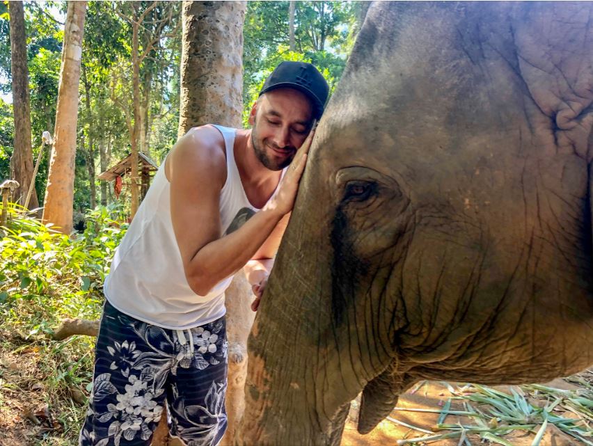 Mann steht Kopf an Kopf vor Elefant