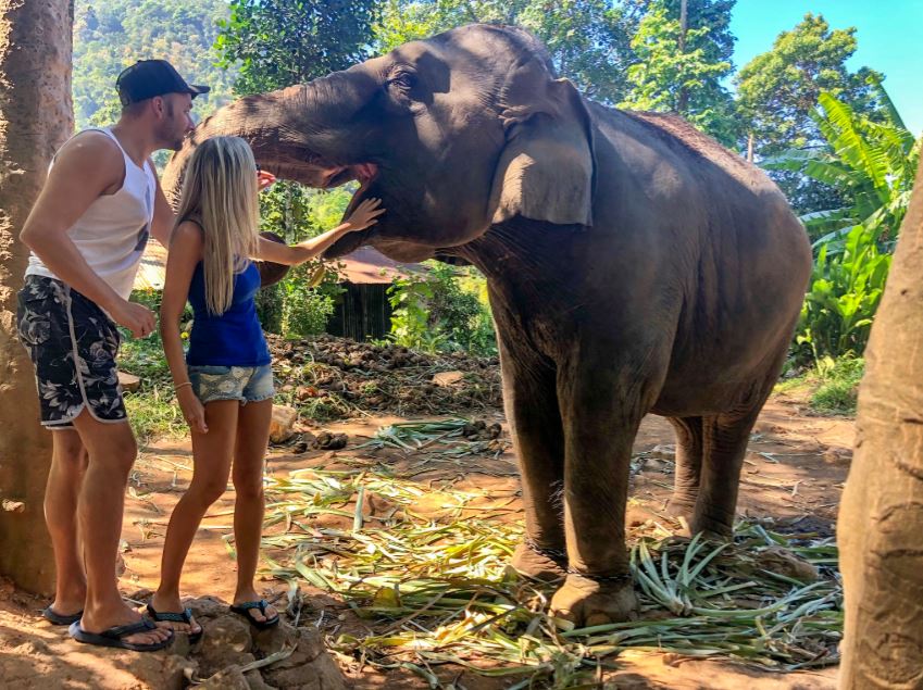 Elefanten auf Koh Chang, Elefant streckt Rüssel nach oben und wird von Pärchen gestreichelt