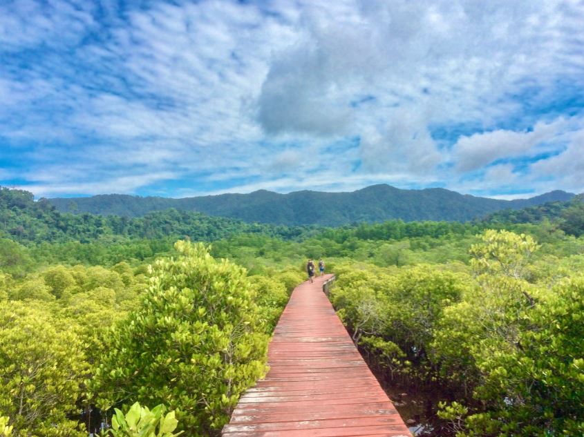 Mangroven Hideway Koh Chang, Steg durch grüne Mangroven mit Blick auf Berge