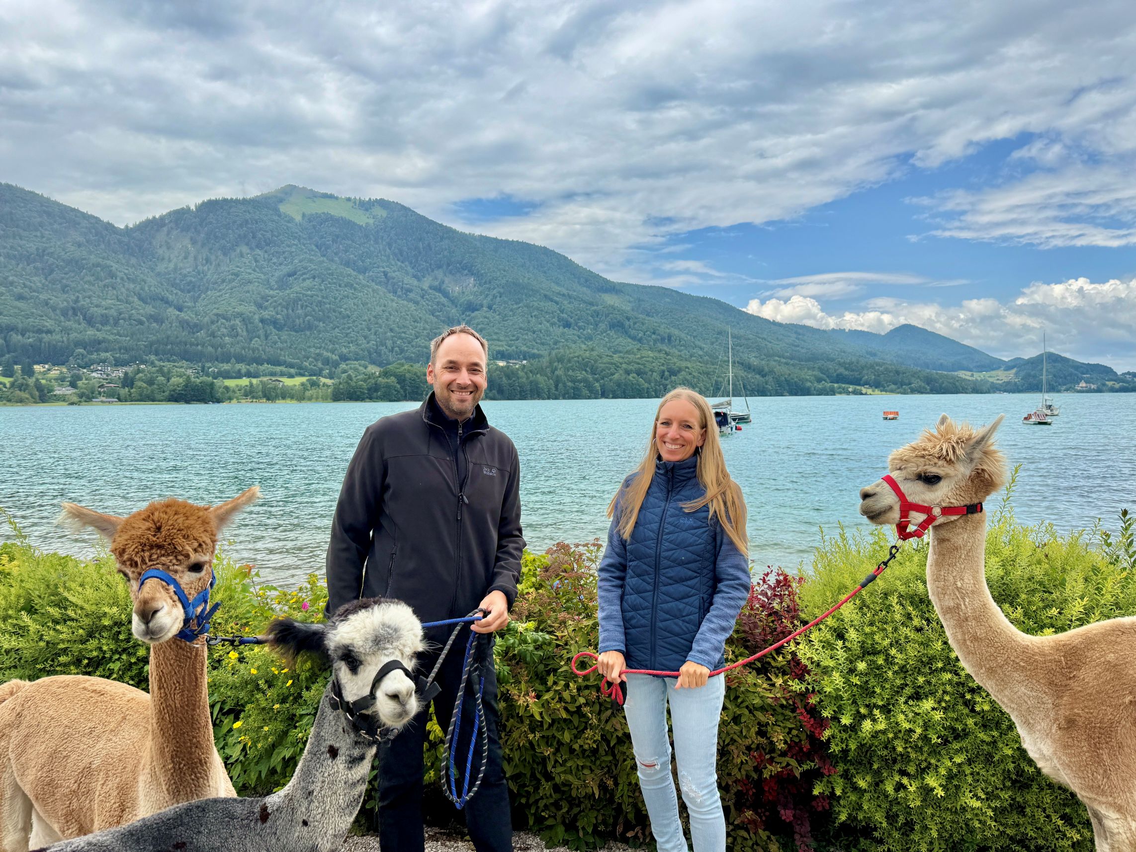 Mann und Frau mit 3 Alpakas vor dem Fuschlsee