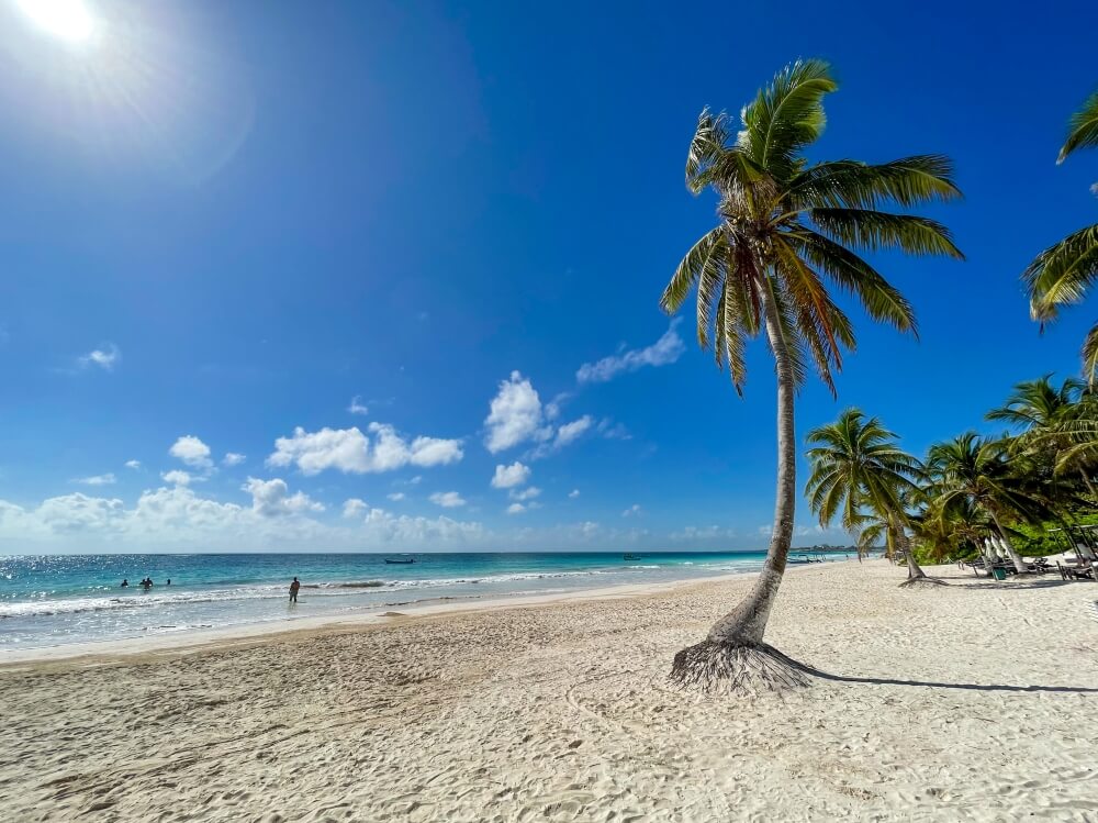 Weißer Sand, Palme und Meer