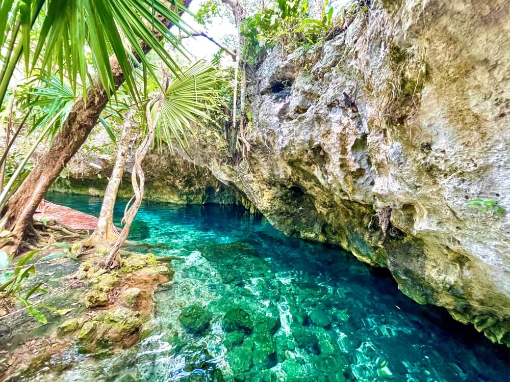 Grün-blaues Wasser in der Gran Cenote