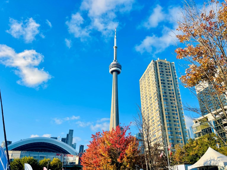 CN Tower Toronto hinter roten Herbstblättern 