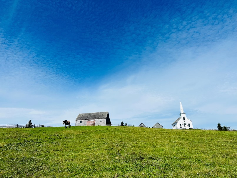 Highland Village Cape Breton, Grashügel mit Blick auf Kapelle und Pferd auf Wiese