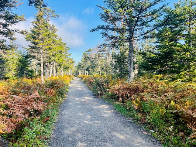 Cape Breton Reiseplanung, Weg durch bunte Büsche und grüne Bäume