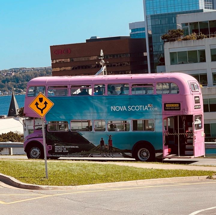 Halifax Sehenswürdigkeiten, pinker Hop On Hop Off Bus