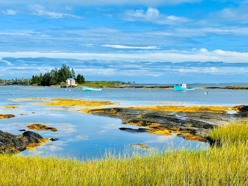 Blick auf grünes Gras vor Felsen am Wasser mit kleinen Booten im Hintergrund in Blue Rocks nahe Lunenburg