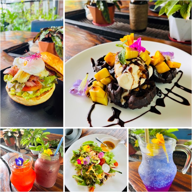 Seed to Feed Restaurant auf Koh Phangan, Collage mit Bildern von Waffel mit Eis, Salat und Burger