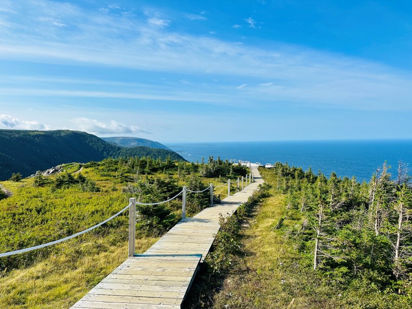 Holzsteg entlang des Skyline Trail auf Cape Breton umsäumt von Grüner Natur und Blick auf die Küste
