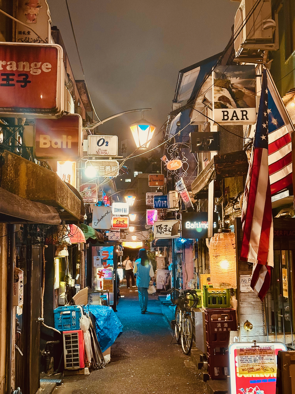 Tokio Sehenswürdigkeiten Golden Gai Barviertel bei Nacht