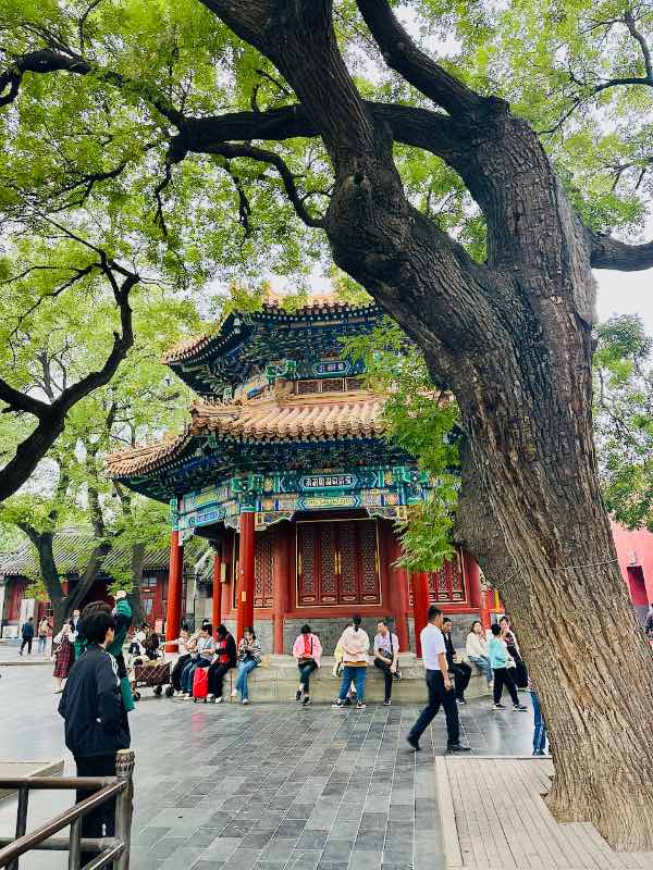 Peking sehenswürdigkeiten der Lama Tempel von innen mit bäumen