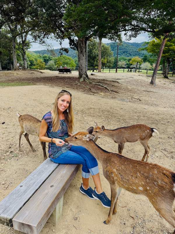 Rehe an der Bank werden gefüttert in Nara