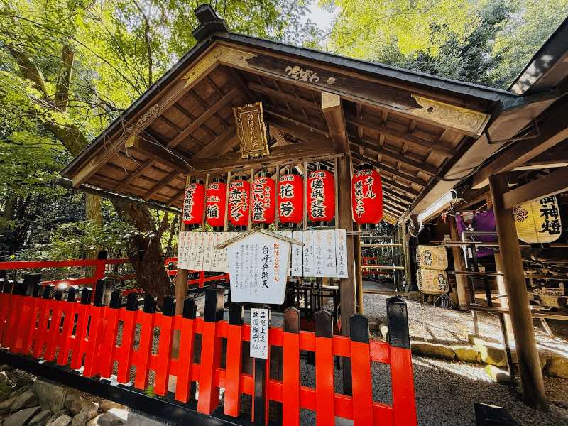Kyoto Sehenswürdigkeiten Tempel am Bambuswald