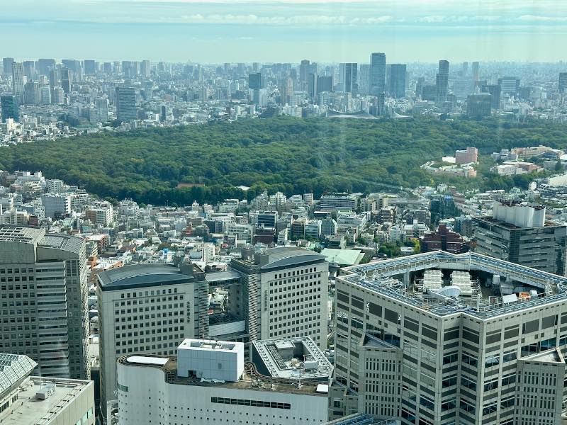 Tokio Sehenswürdigkeiten Aussicht von oben auf die Stadt bei Tag